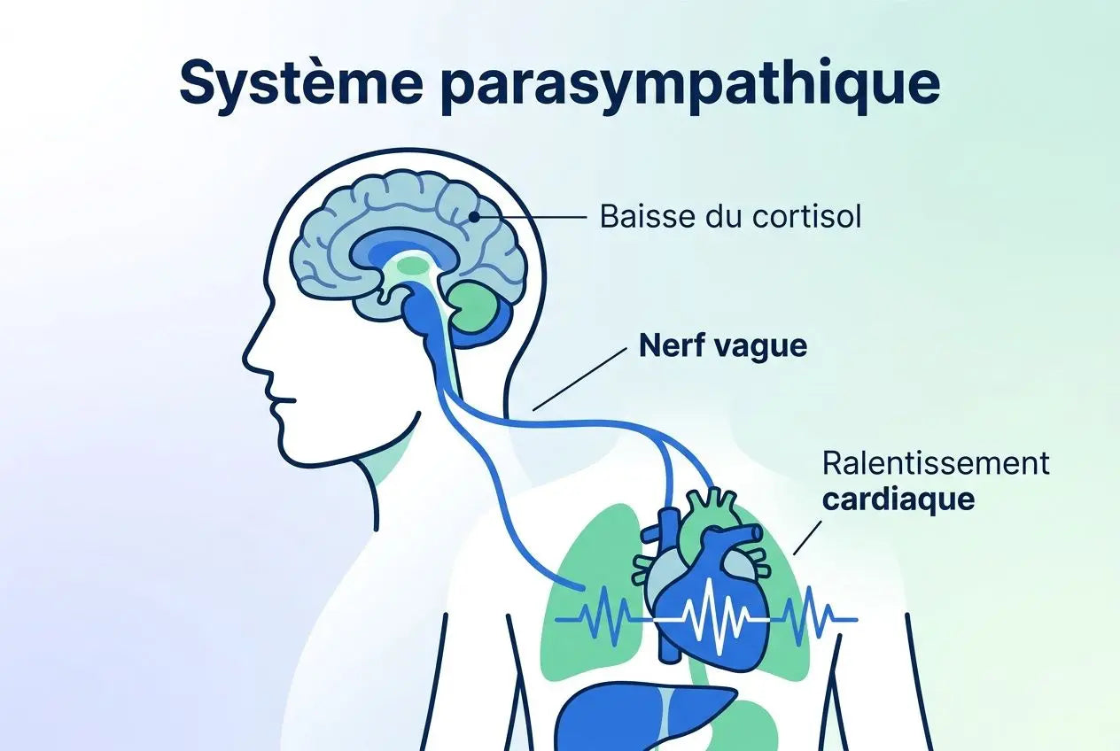 Qu'est-ce que la méthode 4-7-8 : méthode de respiration anti-stress